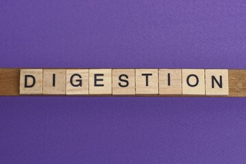 brown word digestion in small square wooden letters with black font on a lilac background