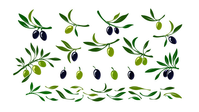 Set of olives. Vector black and green macro fruit