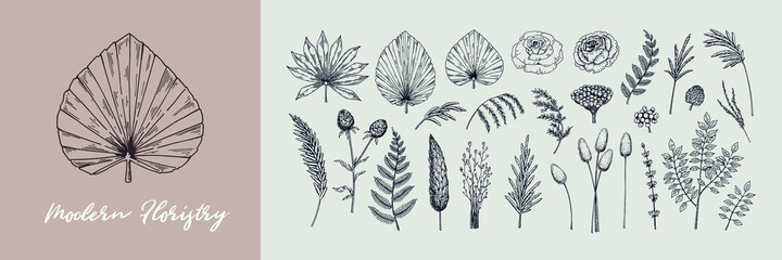 Hand drawn set of modern plants for floristry, Vector illustration in sketch style