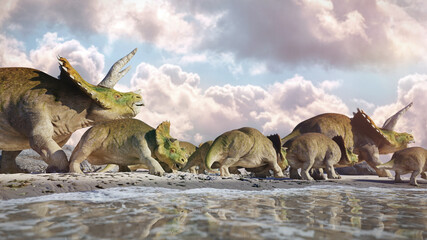 Triceratops horridus family, group of dinosaurs in beautiful landscape © dottedyeti