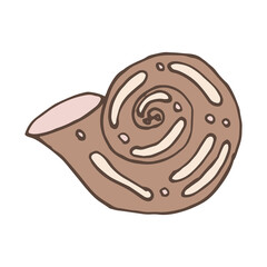 seashell sea vector isolated hand drawing sketch beige