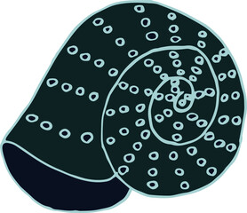 seashell sea vector isolated hand drawing sketch blue