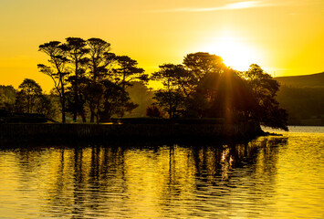 Sun setting behind waterside trees 