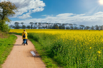 Obraz premium rear view of woman in yellow raincoat pushing a baby stroller down a path next to a canola field