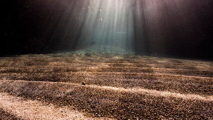 Seascape with view to surface and sunbeams in shallow water of Caribbean Sea, Curacao