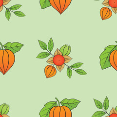 vector seamless pattern with medicinal ashwagandha plant-02