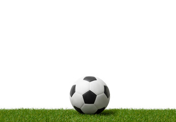 Soccer ballon green grass.  Professional sport concept. Horizontal sport poster, greeting cards, headers, website