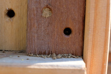 FU 2020-04-11 Biene 69 Löcher im Holz für Insektenhotel