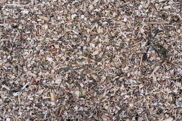 Wood chips left after work, background.