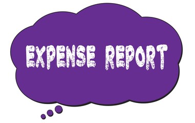 EXPENSE  REPORT text written on a violet thought cloud bubble.