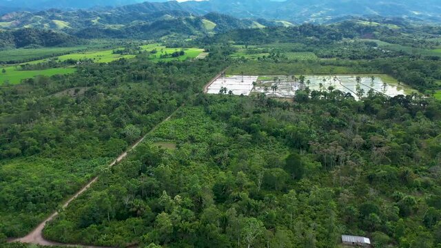 monta&ntilde;as de la selva peruana