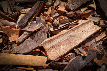Bark wood brown roots trees crust cork peel rind nature