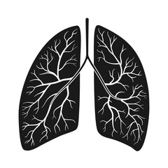 Anatomical human lungs in vector illustration