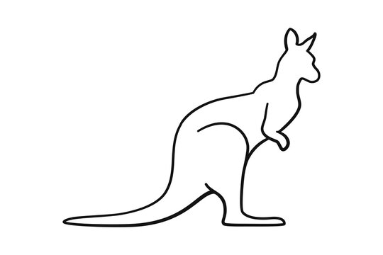 Australian kangaroo animal as outline vector icon