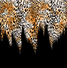 Seamless hand drawing leopard pattern, animal print