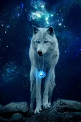 Foto op Canvas wolf howling at night © Ildefonso