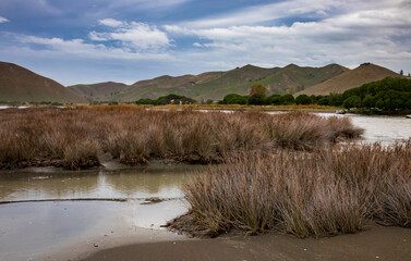 Young Nick’s Head, Te Kuri, or Te Kuri a Pawa, Gisborne district, New Zealand 