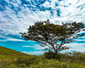 Obraz premium Landscape photography.