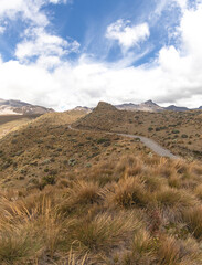 Fototapeta na wymiar Landscapes of the Los Nevados National Natural Park in Manizales, Caldas, Colombia.