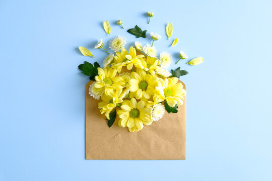 Open paper envelope with yellow spring flowers on blue background. Floral flat lay compoisition. Romantic letter, gift, love concept.