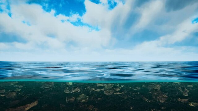 underwater view with horizon and water surface split by waterline