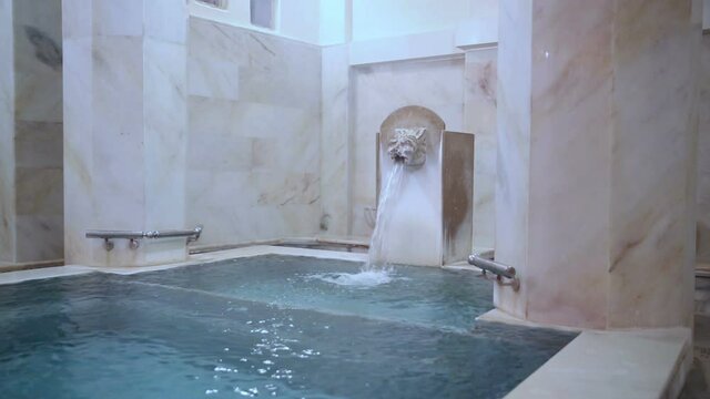 Traditional Turkish Bath and Pool With Leon Head 