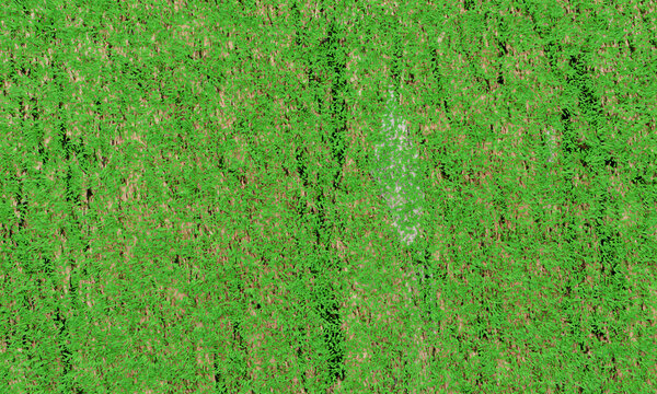 3D rendering. Green grass lawn texture background. top view
