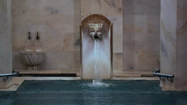 Traditional Turkish Bath and Pool With Leon Head 