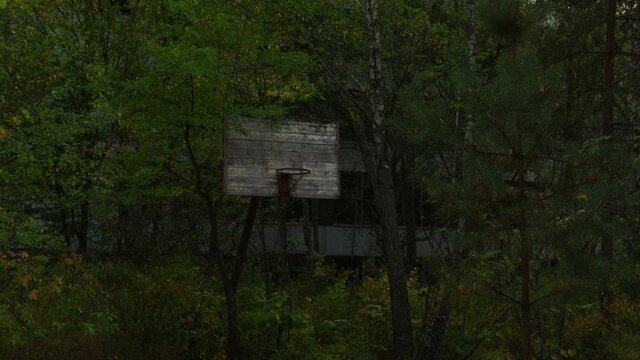 Antique wooden basketball board overgrown with trees in Pripyat, zoom out
