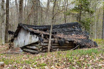 An old collapsing abandoned hunter's log cabin in the Adirondack Mountains, NY