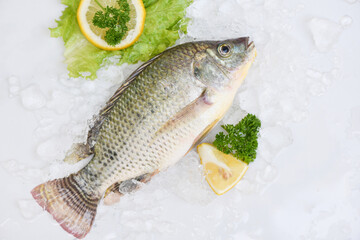 Raw tilapia from farm on ice market food with lemon salad vegetables lettuce, Fresh Tilapia fish freshwater for cooking food in the asian restaurant