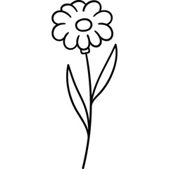 Hand-Drawn Flowers
