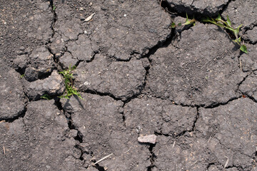 black earth with large cracks, background