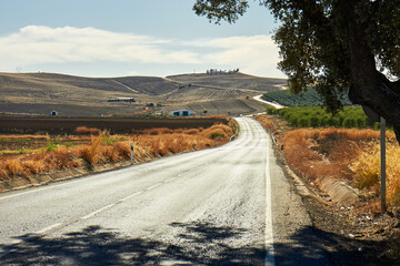 Lonely road horizon in Cordoba, Spain