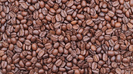 coffee beans background