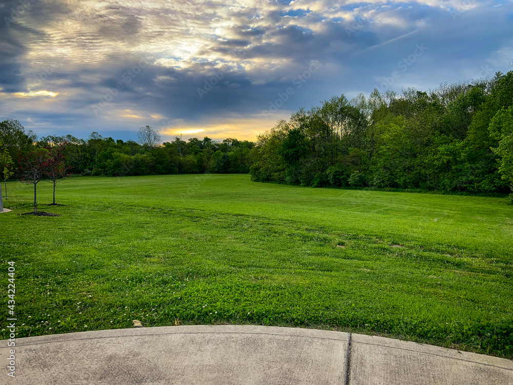 Wall mural a lawn in a park surrounded by a forest with an oval shape sidewalk visible on the bottom of the ima