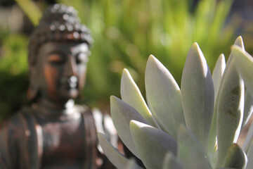 Plant and Buddha Statue