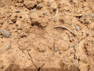 soil in the ground