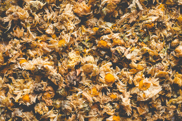 Close up of Dried Chrysanthemum, the herb is often used as a health care