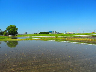 春の近郊の代田風景