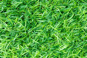 Green artificial grass nature background