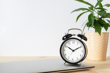 Classic black alarm clock, laptop and potted plant on wooden table with white background and copy space