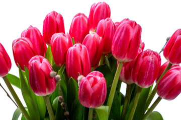 Beautiful bouquet of tulips on a white background, view from above