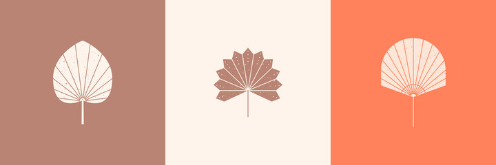 Set of Dried Palm Leaves Silhouette in Simple Style. Vector Tropical Leaf Boho Emblem. Floral Illustration