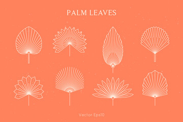 Set of Abstract Palm Leaves in a Trendy Minimal Linear Style. Vector Tropical Leaf Boho Emblem. Floral Illustration
