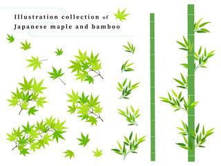 青もみじ・竹のイラスト素材セット