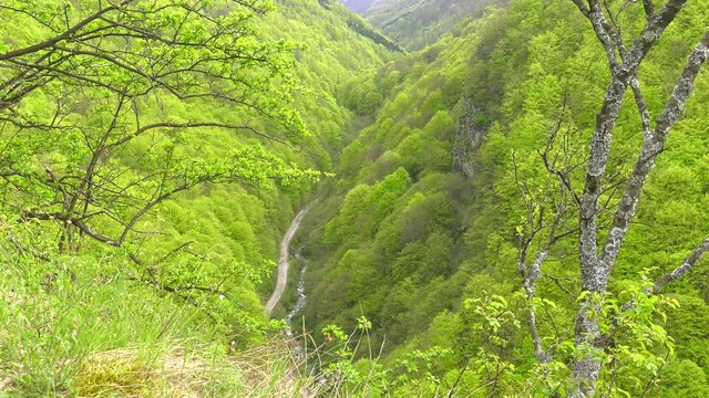 View from the Carpathian Castle by Jules Verne