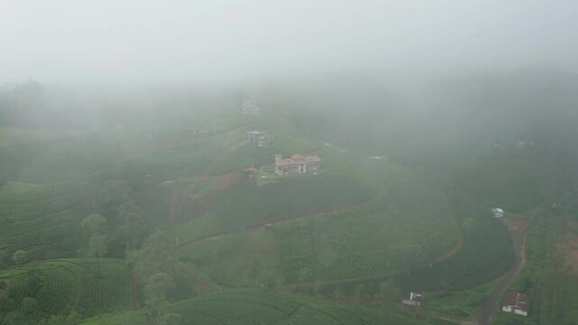 Aerial through mist revealing green tea plantation in Hatton, Sri Lanka