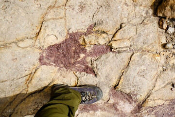 南米ボリビアの秘境、トロトロ渓谷の美しい地形と恐竜の足跡やUmajalanta鍾乳洞