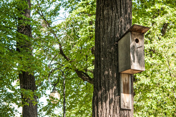 An old vintage wooden birdhouse on a tree trunk against a blue sky background.